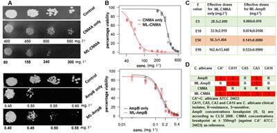 Enhanced Killing and Antibiofilm Activity of Encapsulated Cinnamaldehyde against Candida albicans